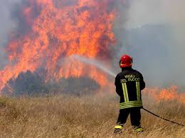 ASTM C-542 FOREST FIRE HOSE