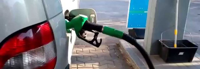 DISTRIBUTOR HOSE
