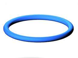 DIN 11851 gasket