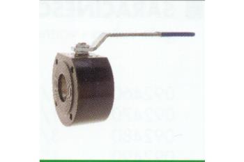 Wafer valves