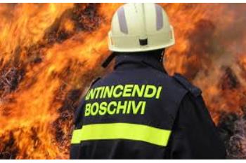 Tubi per antincendio boschivo