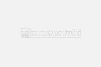 Check valves series lok double ogive