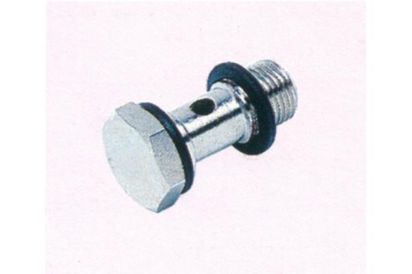 Single hollow screw