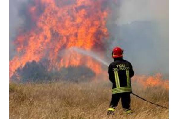 ASTM C-542 FOREST FIRE HOSE
