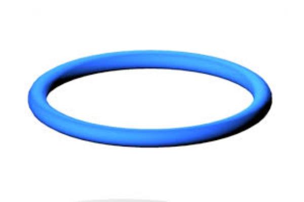 DIN 11851 gasket