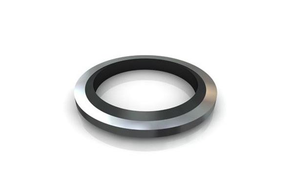 LOK SGB - BONDED GASKET