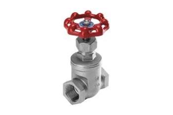 STAINLESS STEEL GATE VALVE