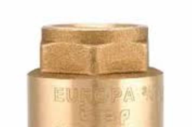 EUROPE CHECK VALVE - 1